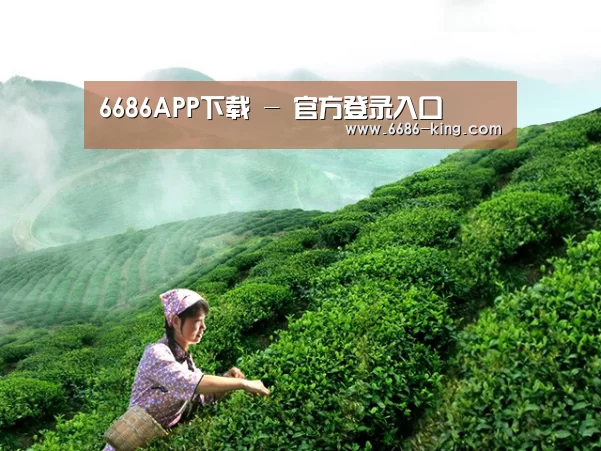 6686APP下载 - 官方登录入口