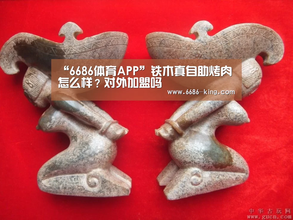 6686体育APP